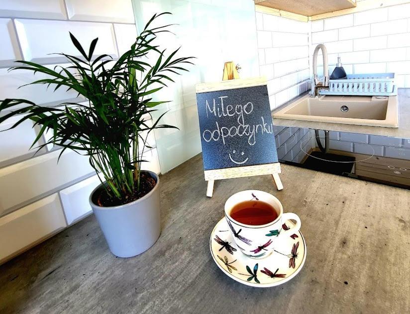 Apartamentowe Rozgwiazdy 20 Apartment *